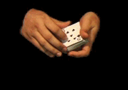 Table Triple False Cut